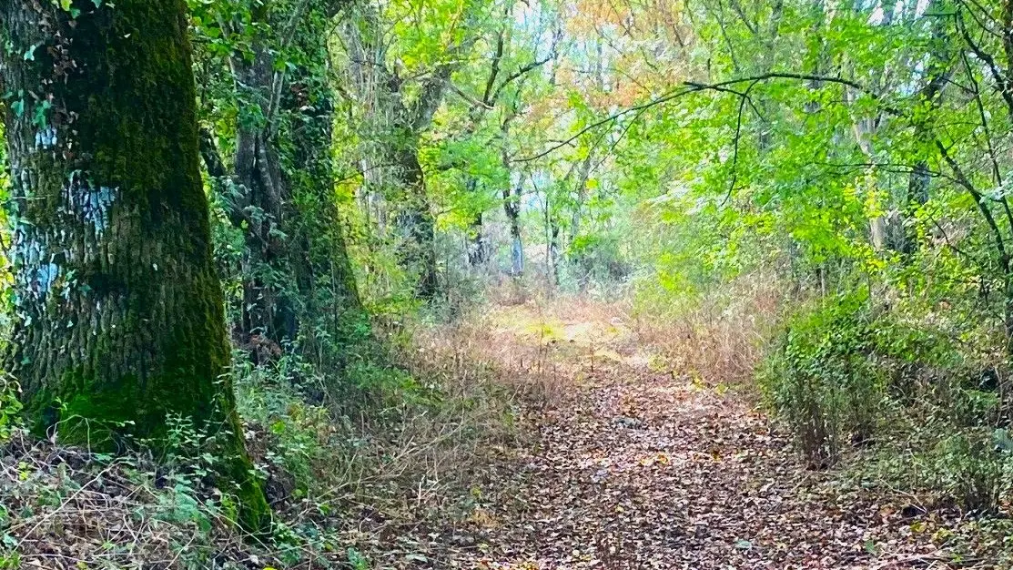 SAINT-MARTIN-LE-PIN-Boucle de Saint-Martin-Chemin