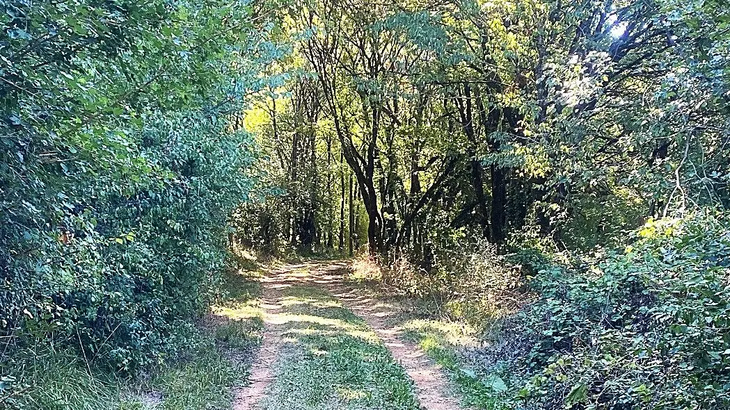 SAINT MARTIAL DE VALETTE-Boucle de Chabans-Chemin