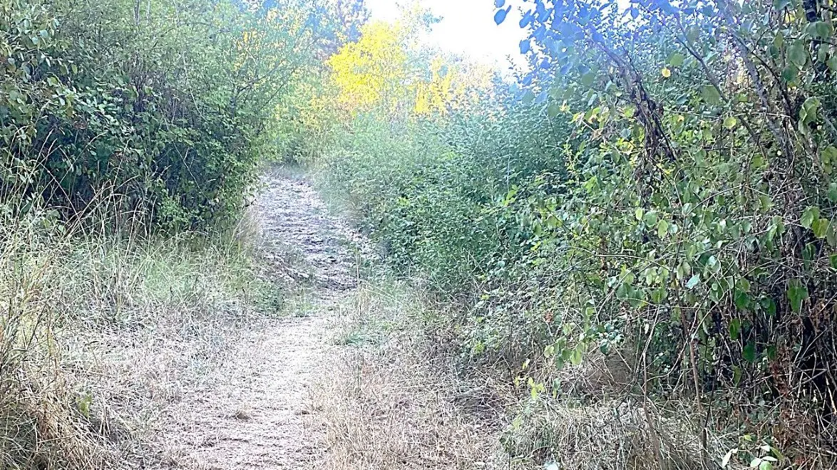 SAINT MARTIAL DE VALETTE-Boucle des Cîmes-Chemin