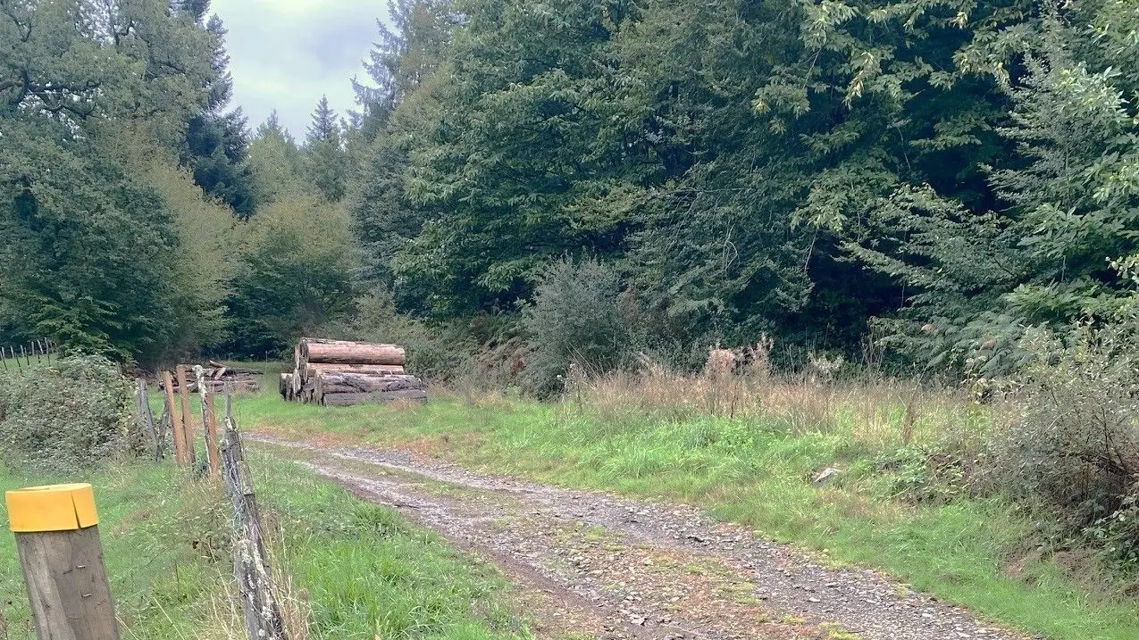 SAINT-MESMIN-Boucle de l'Etang et de la Forge-Chemin 2