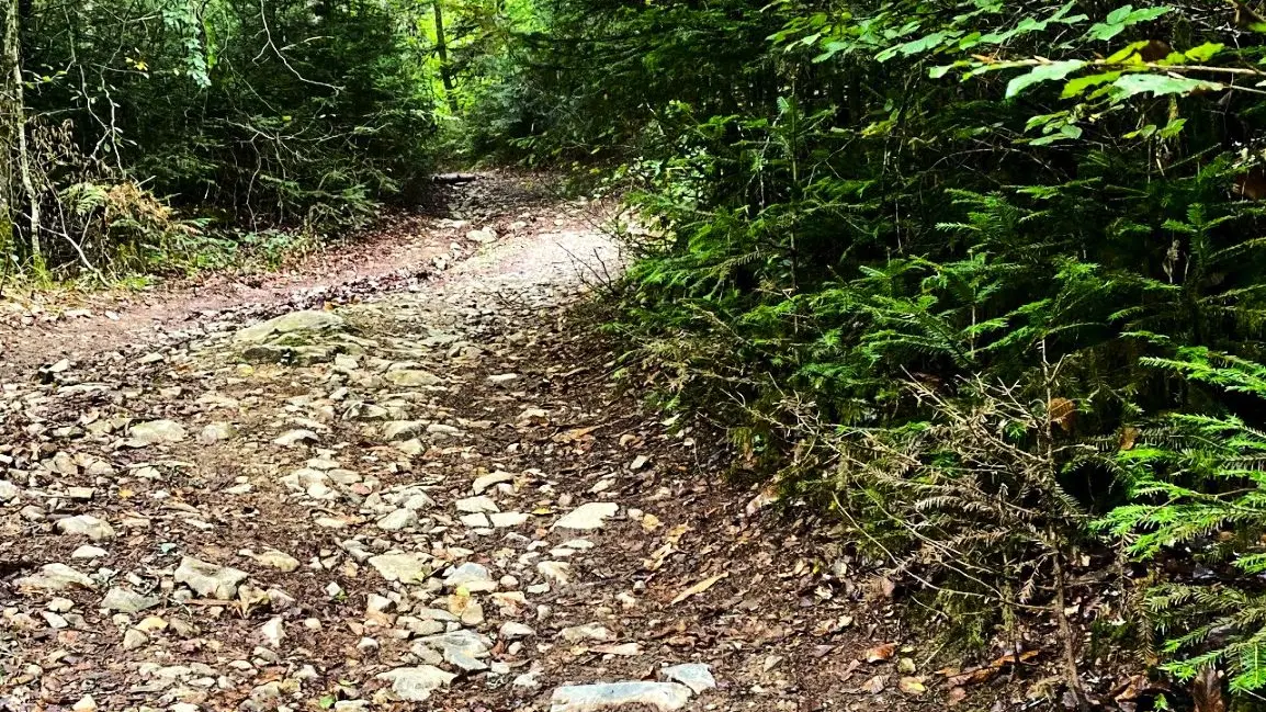 SAINT-MESMIN-Boucle de l'Etang et de la Forge-Chemin 3