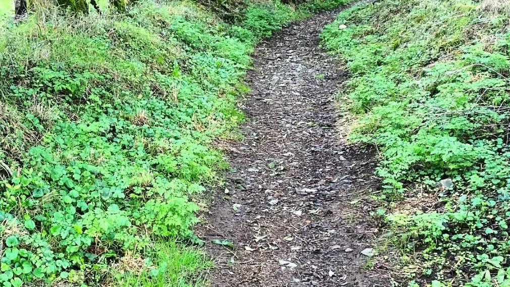 SAINT-MESMIN-Boucle de l'Etang et de la Forge-Chemin