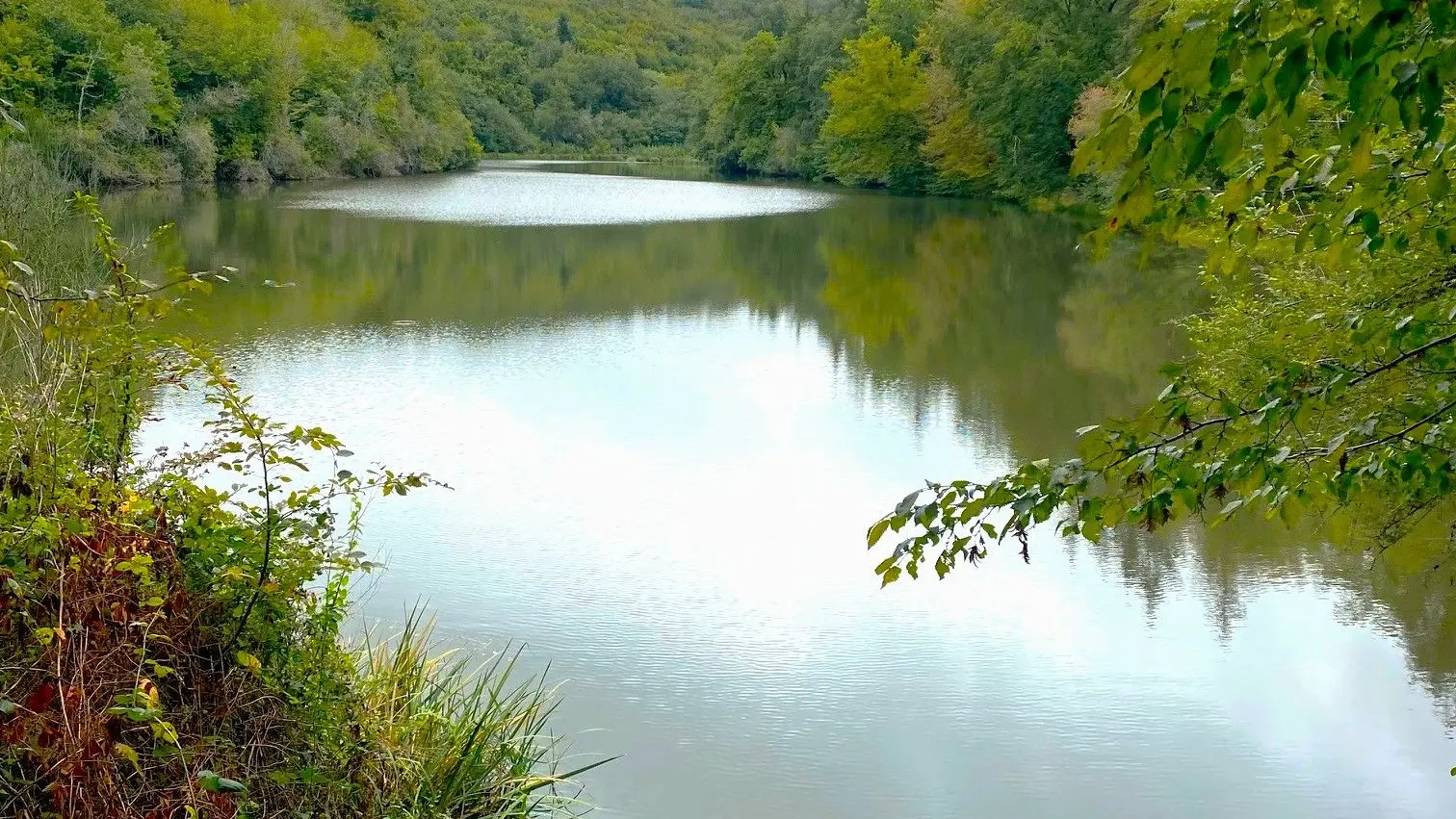 SAINT-MESMIN-Boucle de l'Etang et de la Forge-Etang 2