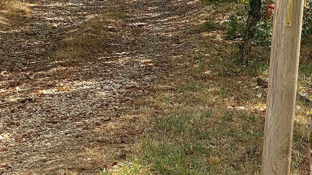 SAINT MICHEL DE VILLADEIX-Boucle des Vallons-chemin-Poteau