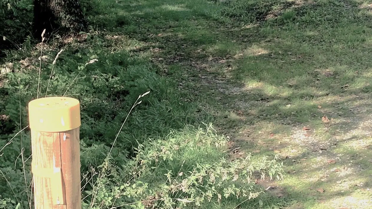 SAINT-PANCRACE-Boucle de Saint-Pancrace-Chemin-Poteau