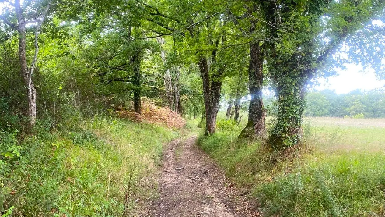SAINT-PARDOUX-LA-RIVIERE-Boucle de Puypelat-Chemin
