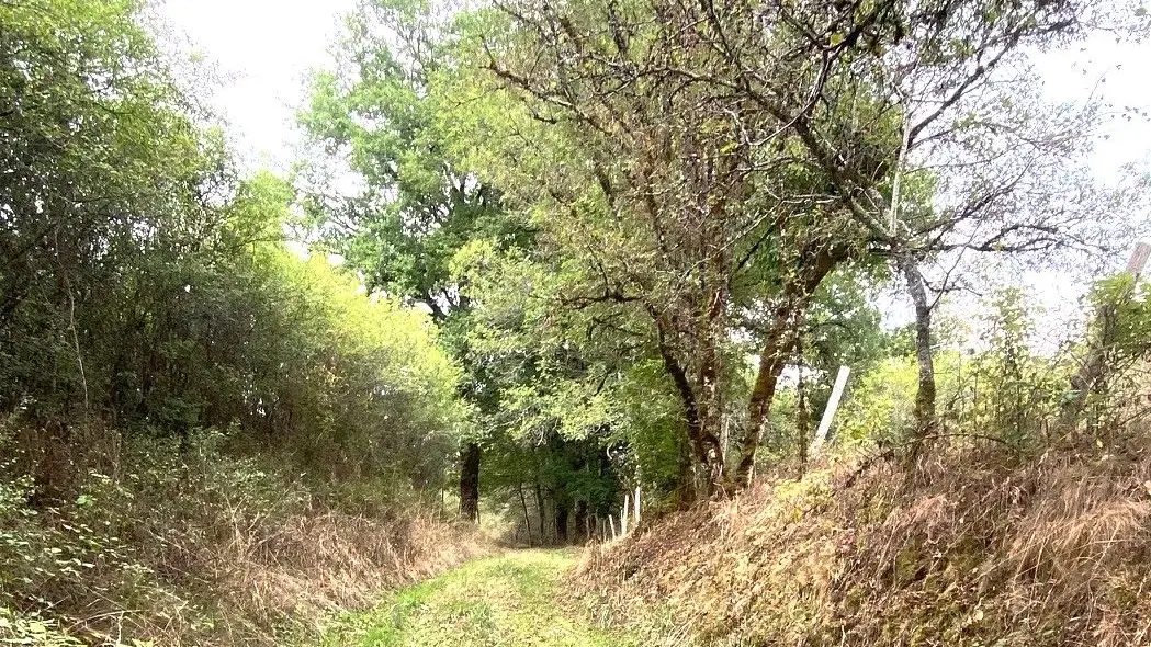 SAINT-PARDOUX-LA-RIVIERE-Boucle de la Dorie-Chemin