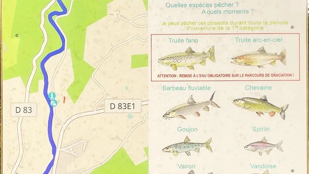 SAINT-PARDOUX-LA-RIVIERE-Boucle de la Dorie-Info Pêche