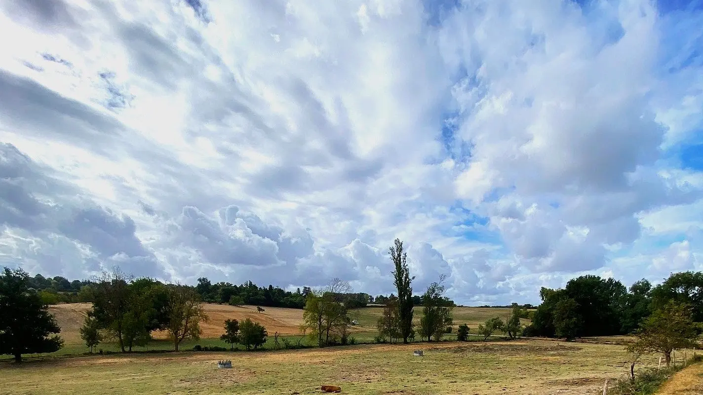 SAINT PAUL LIZONNE-Boucle de Saint Paul Lizonne-Veau