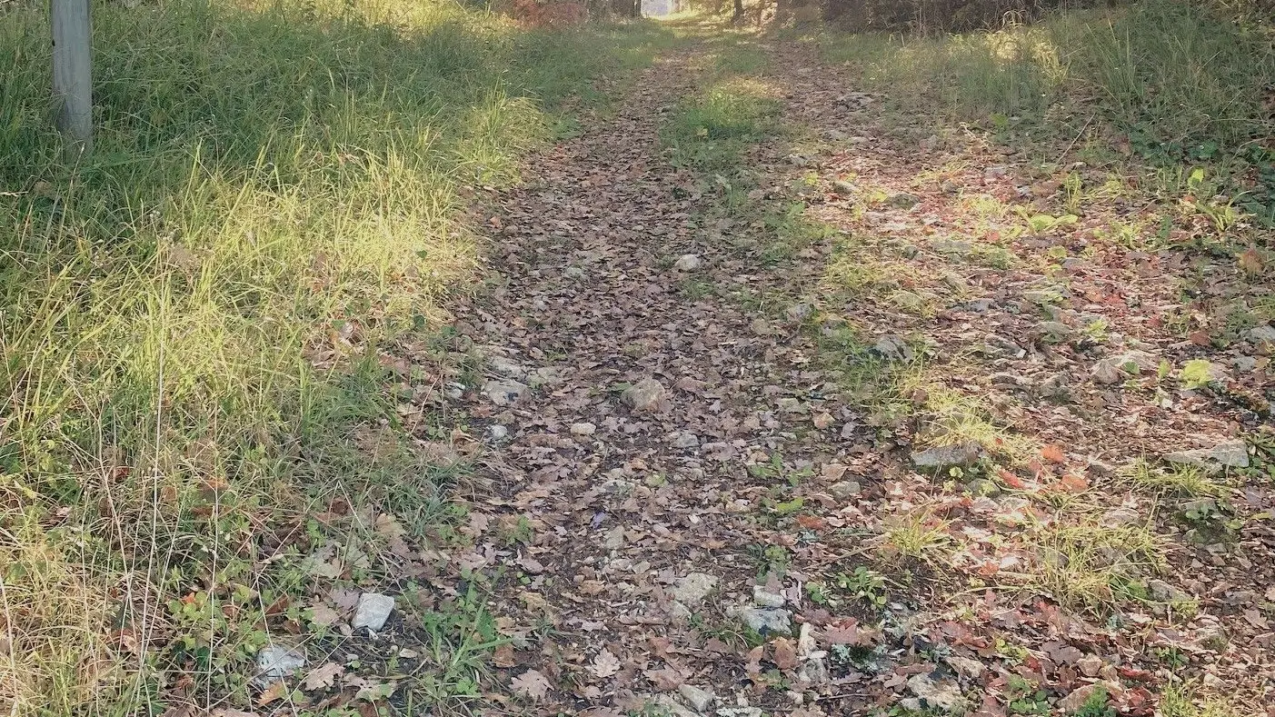 SAINT-RAPHAEL-Boucle du Pontillou-Chemin-Poteau 2