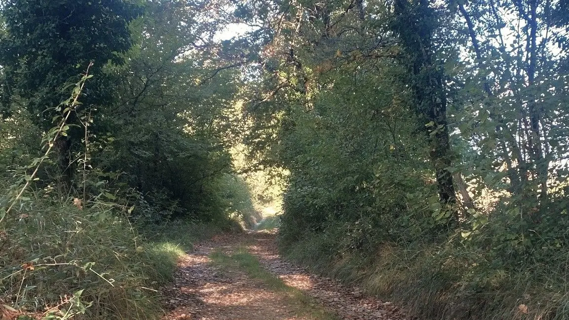 SAINT-RAPHAEL-Boucle du Quinqualou-Chemin