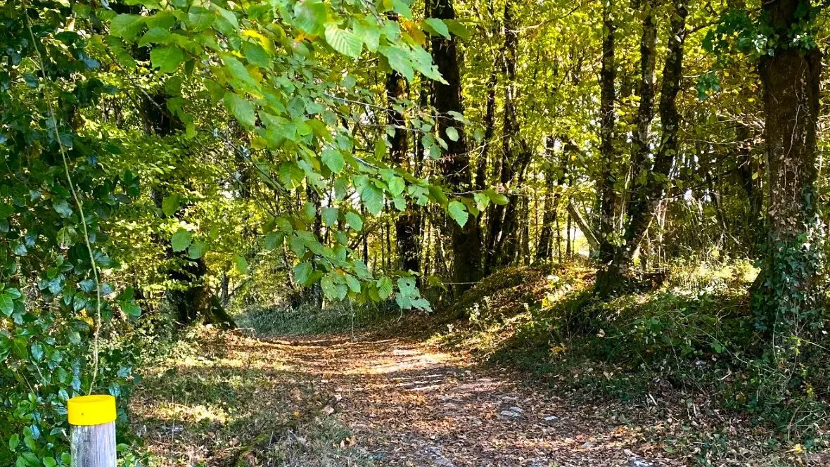 SAINT-RAPHAEL-Boucle du Tunnel-Chemin-Poteau 2