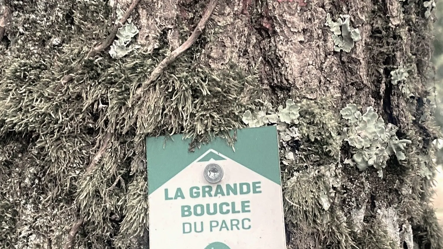 SAINT-SAUD-LACOUSSIERE-Boucle de la Valade-Info Parc