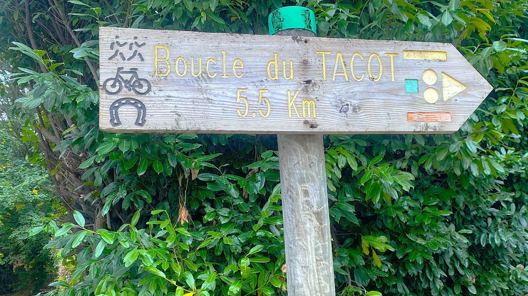 SAINT-SAUD-LACOUSSIERE-Boucle du TAcot-Signalétique