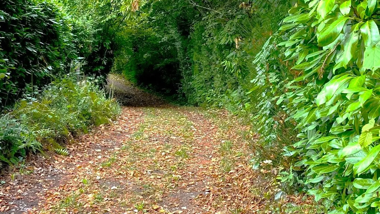 SAINT-SAUD-LACOUSSIERE-Boucle du Tacot-Chemin 2