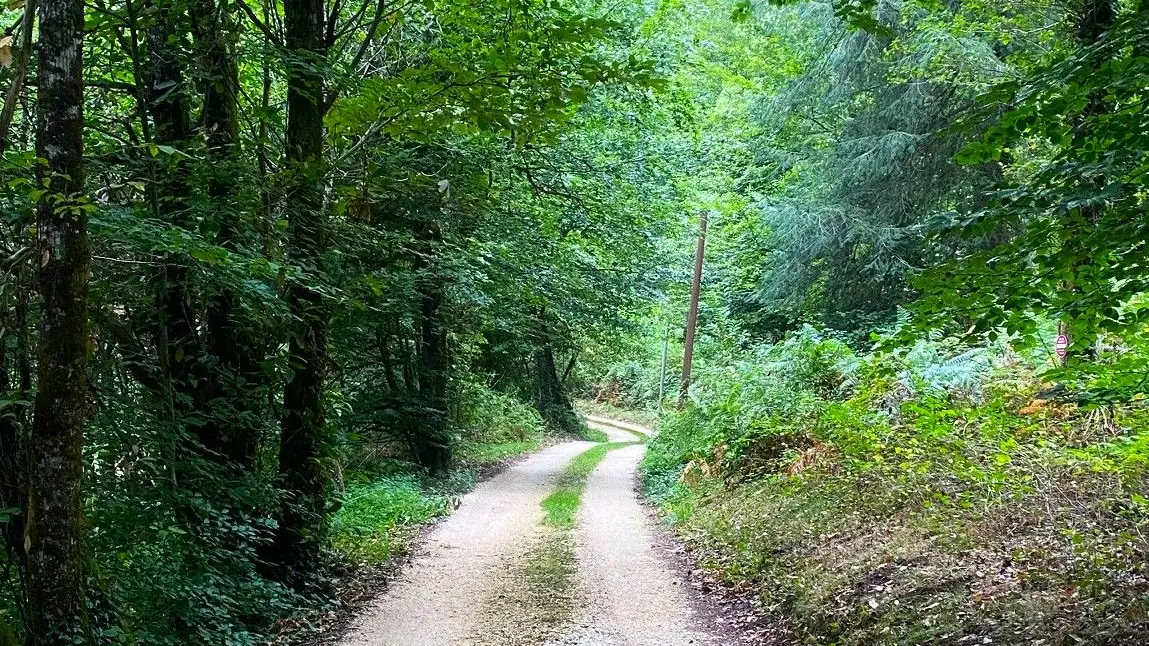 SAINT-SAUD-LACOUSSIERE-Boucle du Tacot-Chemin 3