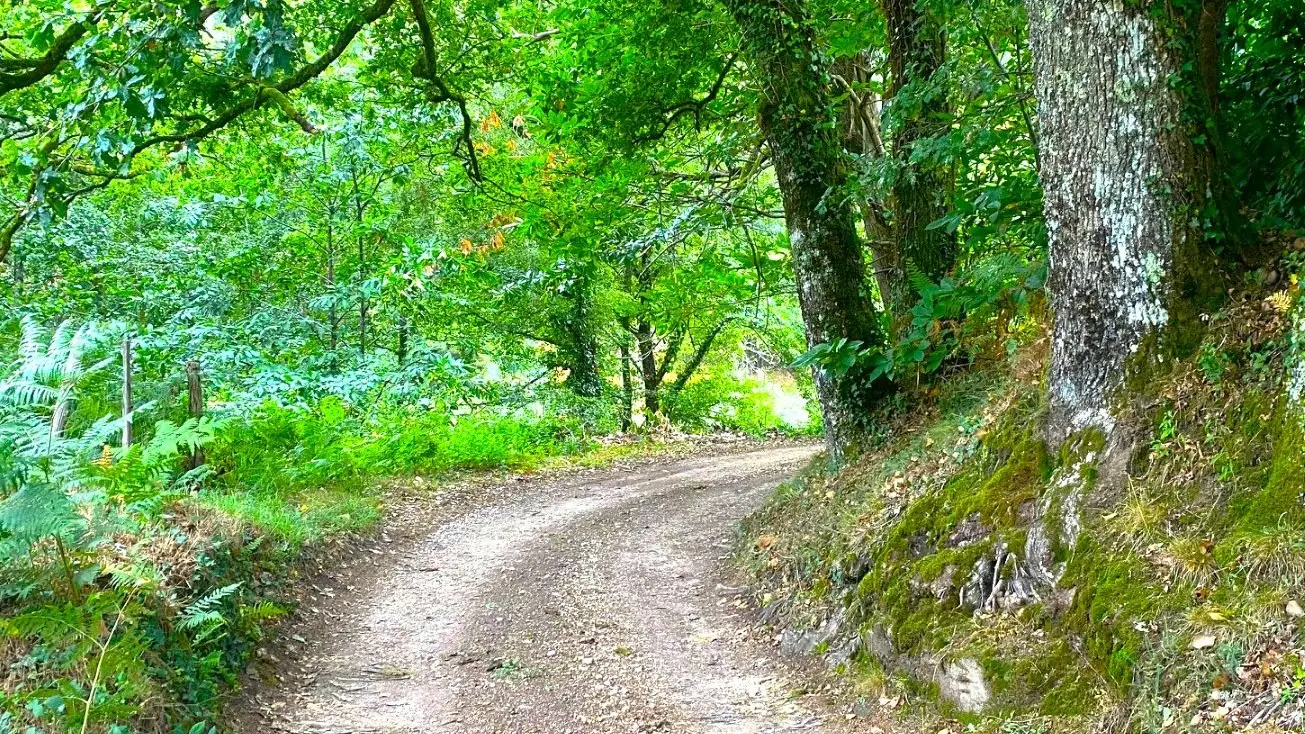 SAINT-SAUD-LACOUSSIERE-Boucle du Tacot-Chemin 4