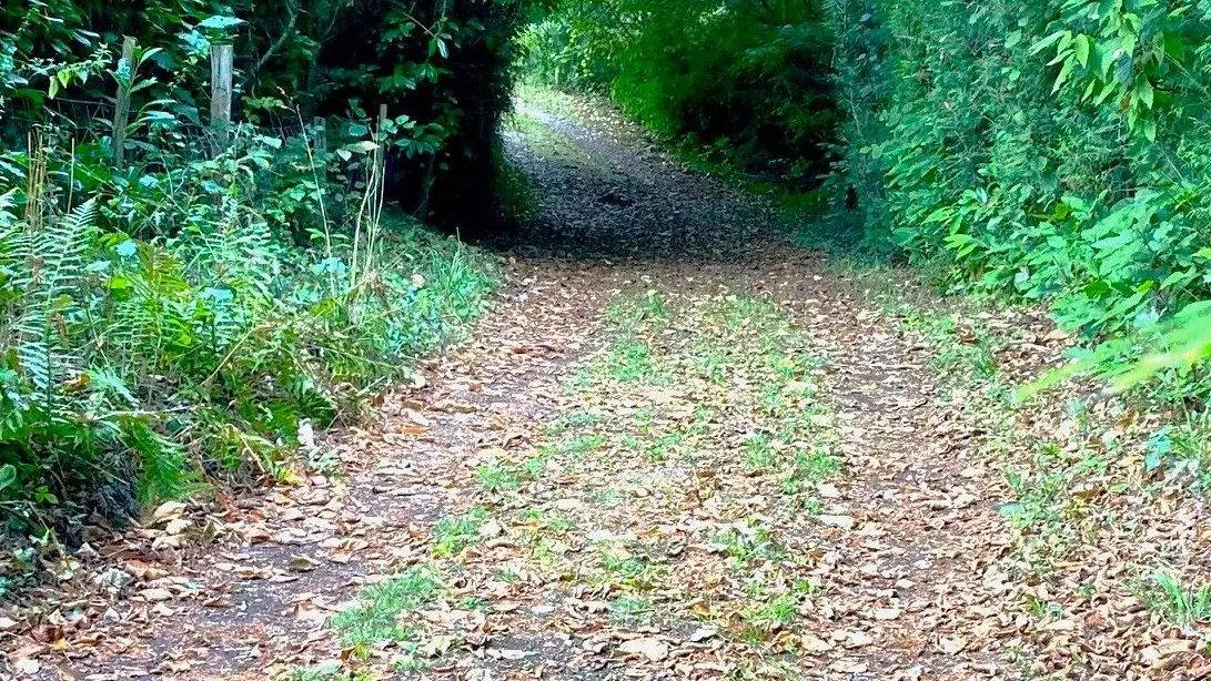 SAINT-SAUD-LACOUSSIERE-Boucle du Tacot-Chemin