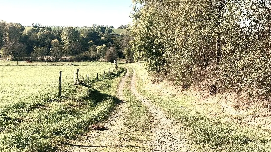 SAINT-SULPICE-D'EXCIDEUIL-Boucle du Ravillou-Chemin