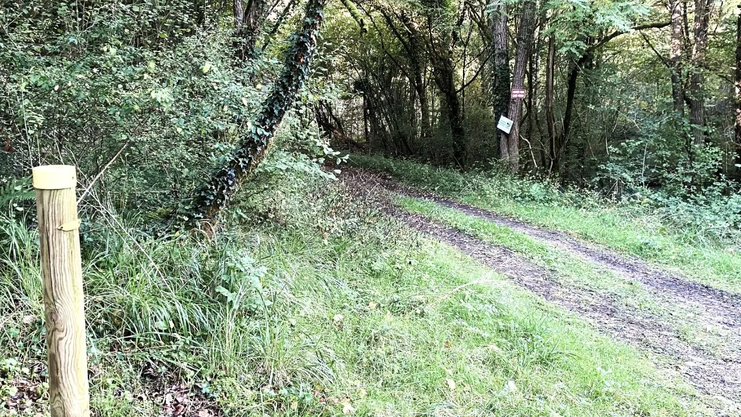 SAINT-SULPICE-DE-MAREUIL-Boucle de Saint Sulpice-Chemin-Poteau
