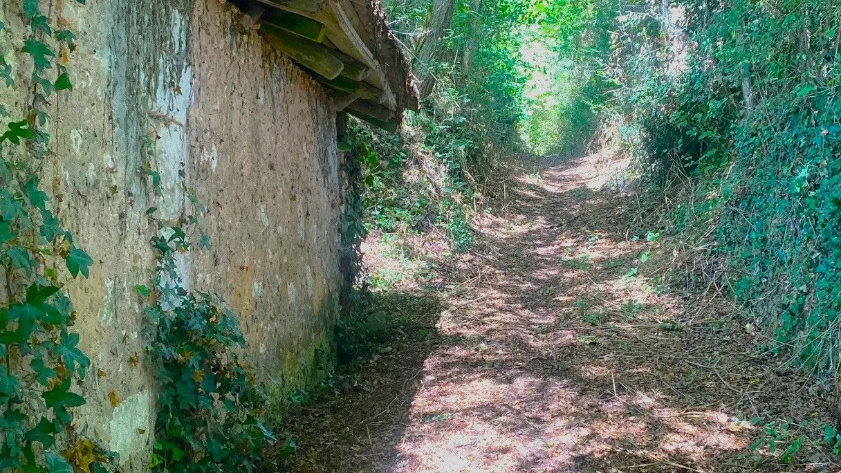 SAINT VINCENT DE CONNEZAC-Boucle de Pradelou-Chemin