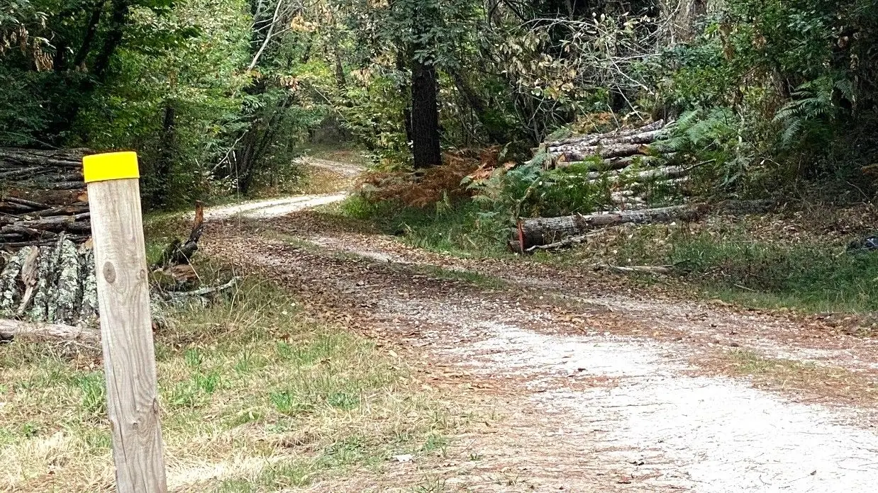 SAINT VINCENT DE CONNEZAC-Boucle du Grand Claud-Chemin-Poteau