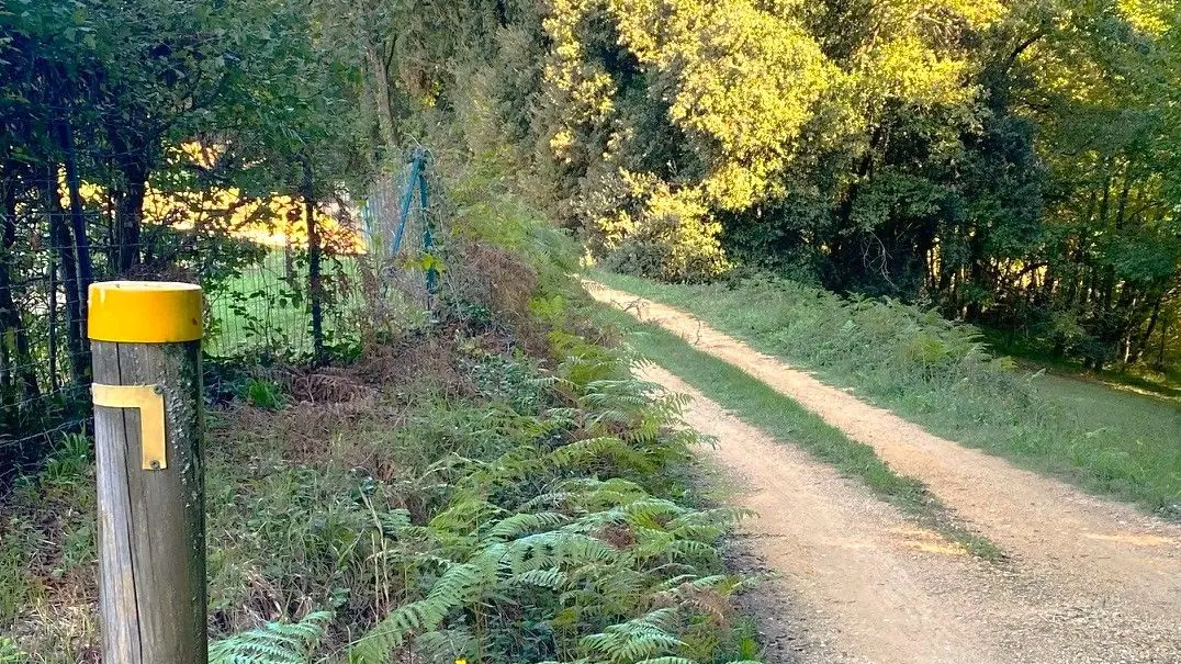 SAINT-VINCENT-LE-PALUEL-Boucle de la Salvie-Chemin-Poteau