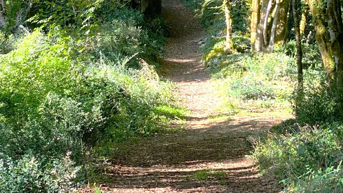 SAINT-VINCENT-LE-PALUEL-Boucle de la Salvie-chemin 2