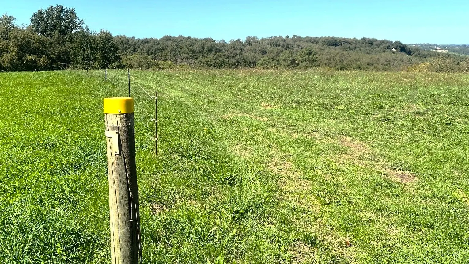 SAINTE-FOY-DE-BELVES-Boucle des Manoirs-Chemin-Poteau 2