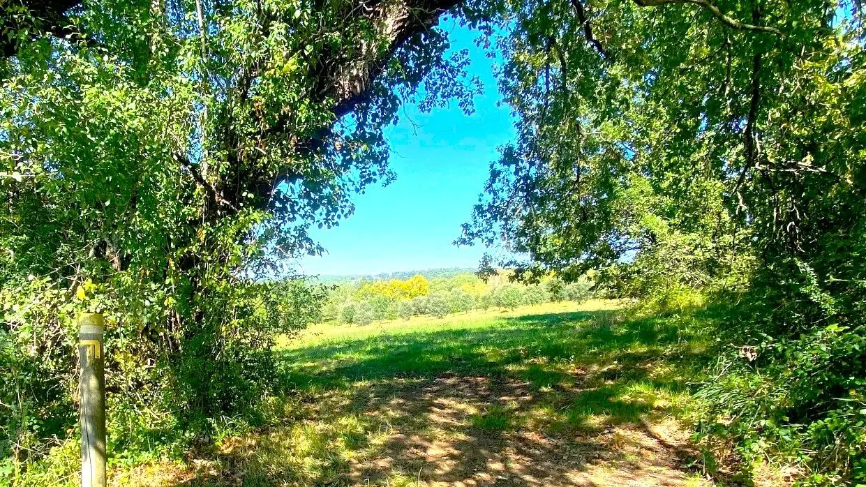 SAINTE-FOY-DE-BELVES-Boucle des Manoirs-Chemin-Poteau