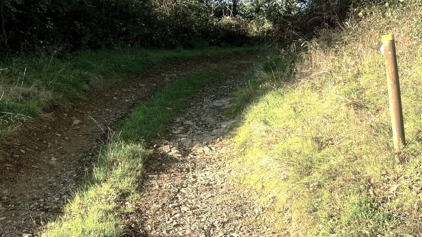 SALAGNAC-Etang de Born-Chemin 3