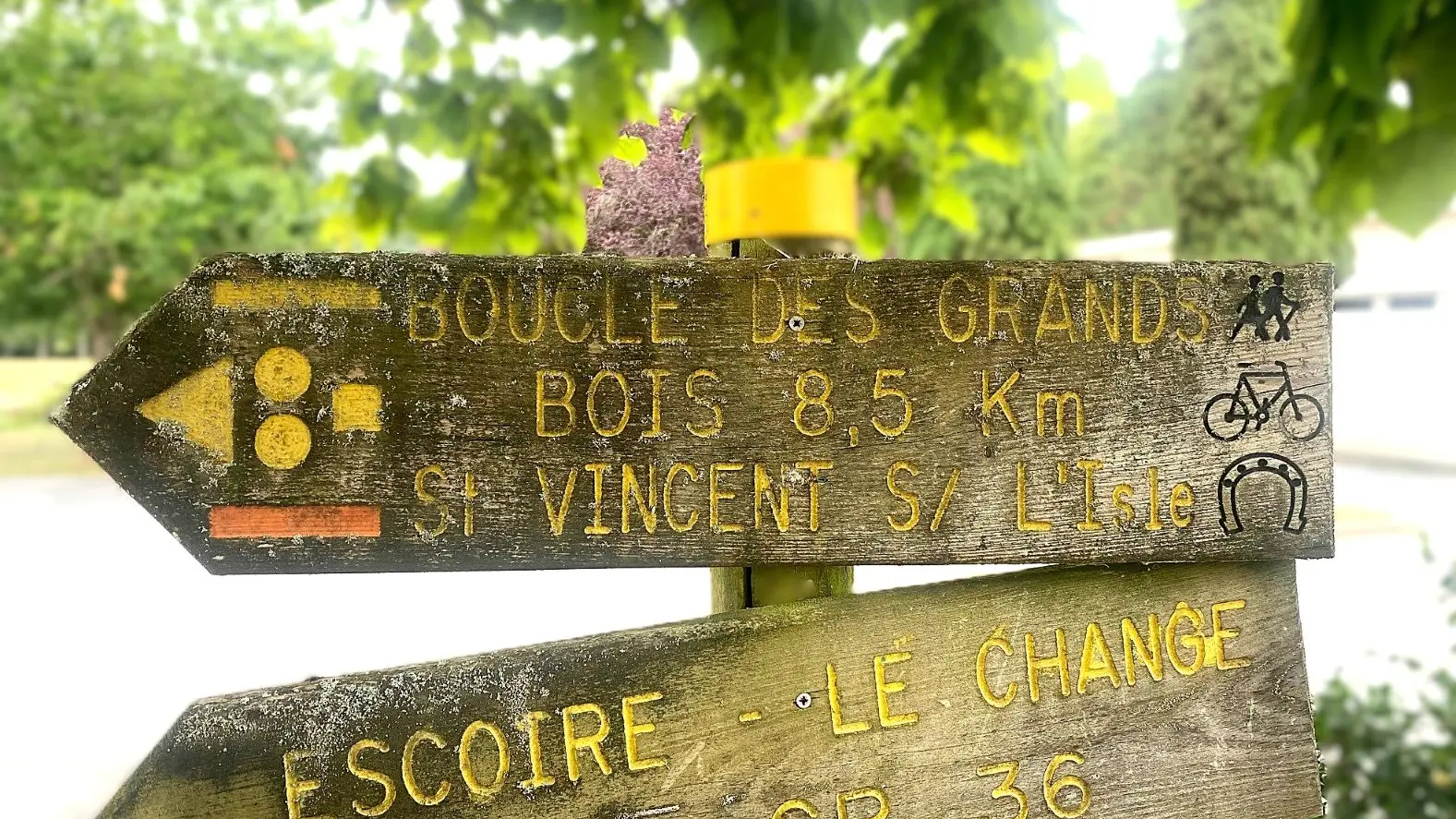 SARLIAC-Boucle des grands bois-Signalétique