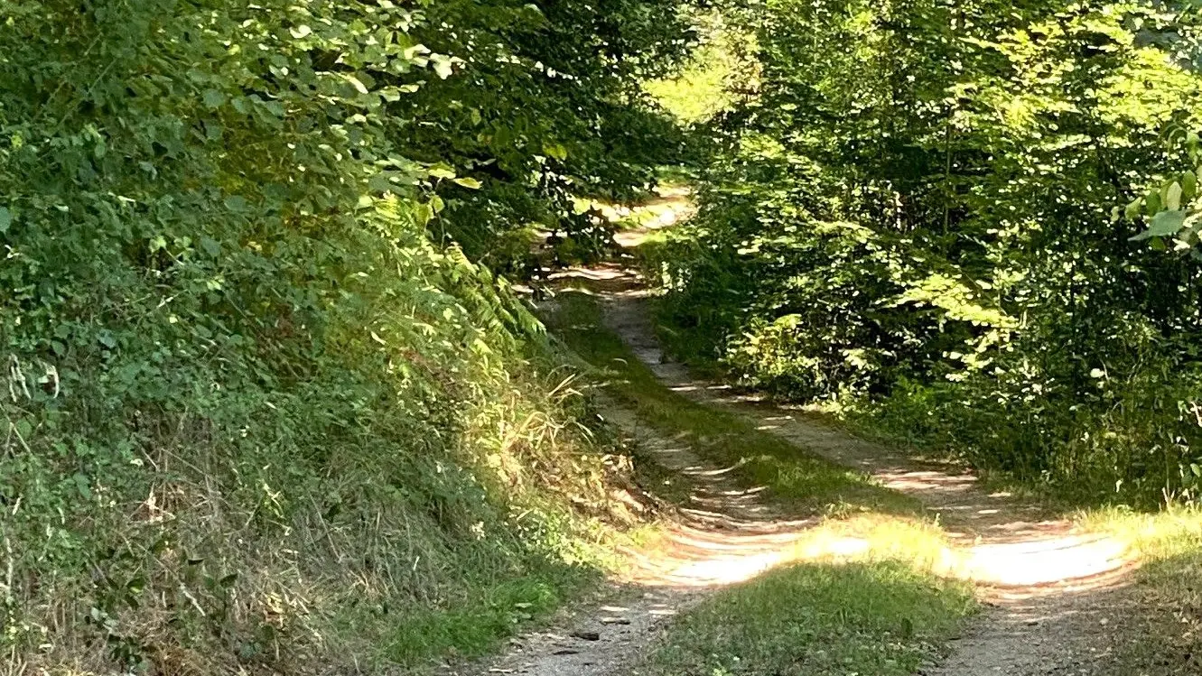 SAVIGNAC DE NONTRON-Boucle des cheyroux-Chemin 2