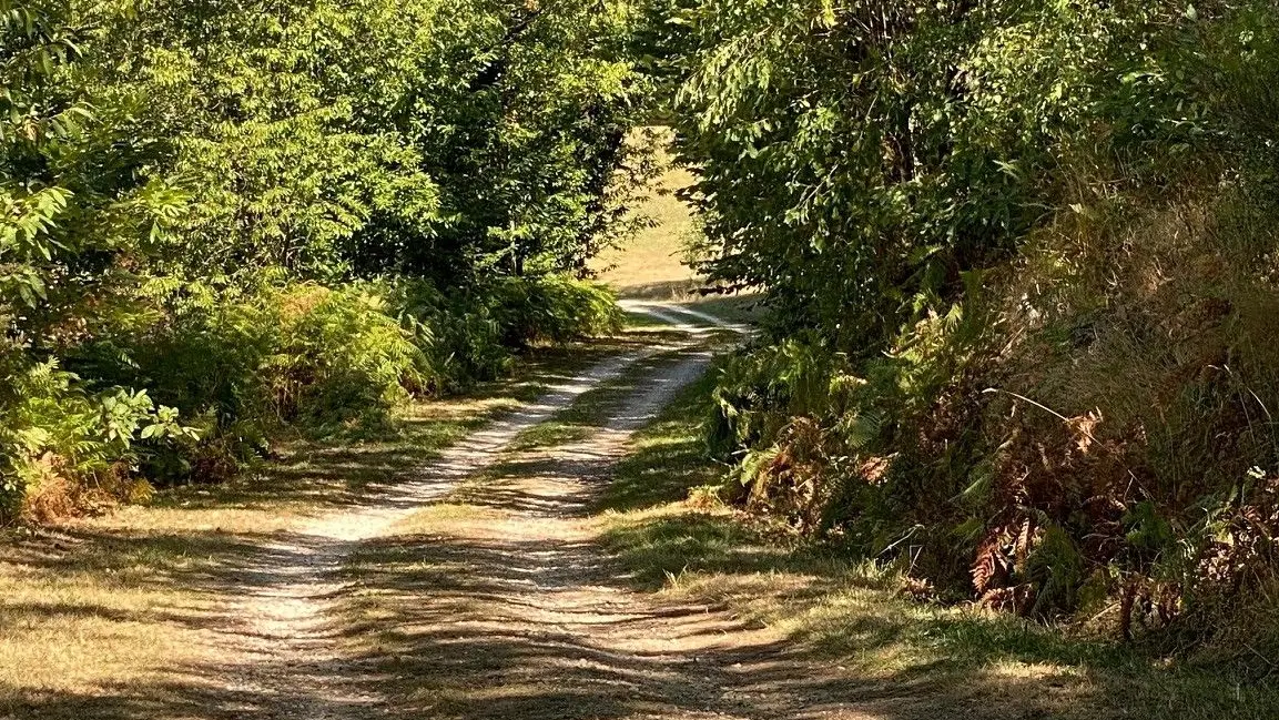 SAVIGNAC DE NONTRON-Boucle des cheyroux-Chemin