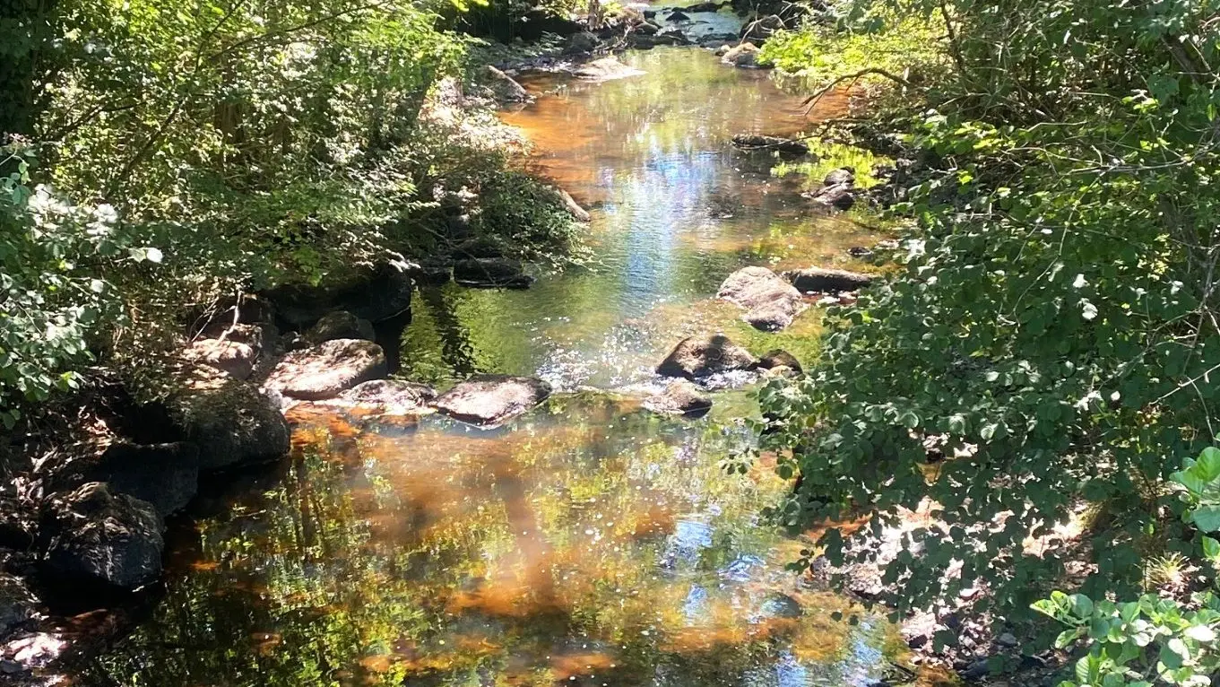 SAVIGNAC DE NONTRON-Boucle du Bandiat-Rivière