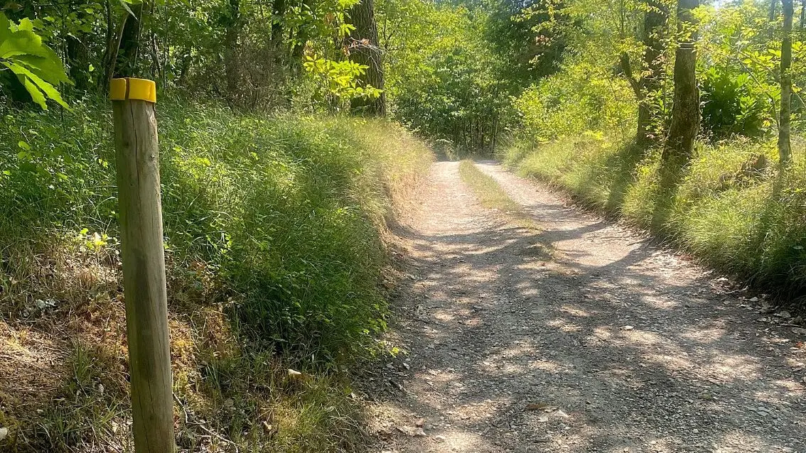 SAVIGNAC LES EGLISES-Boucle des Anciens villages-Chemin