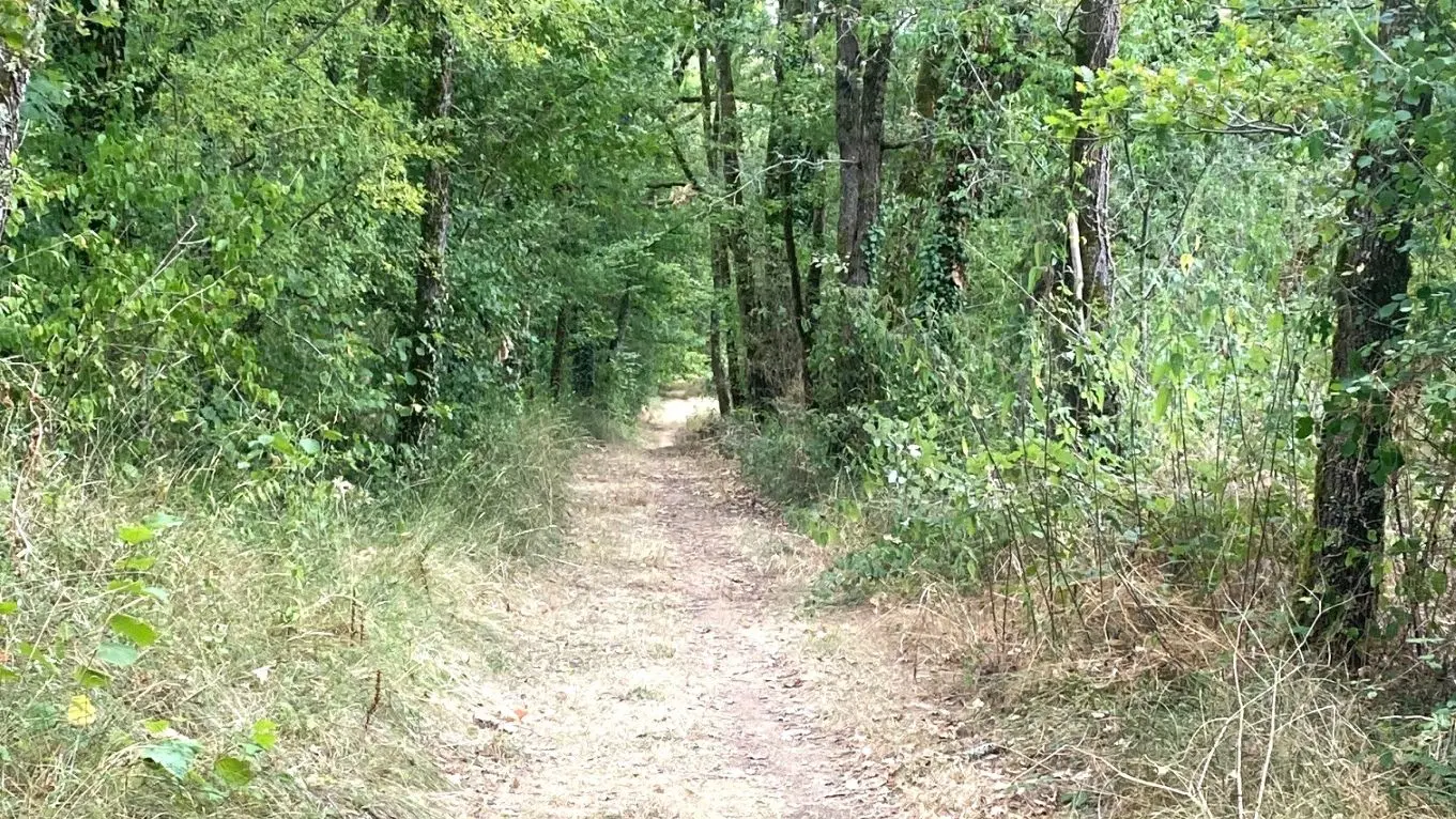 SORGES-Boucle des Puits-Chemin