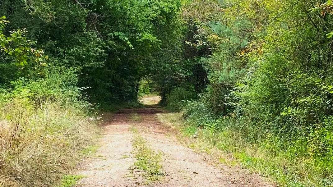 SOUDAT-Boucle de Soudat-Chemin