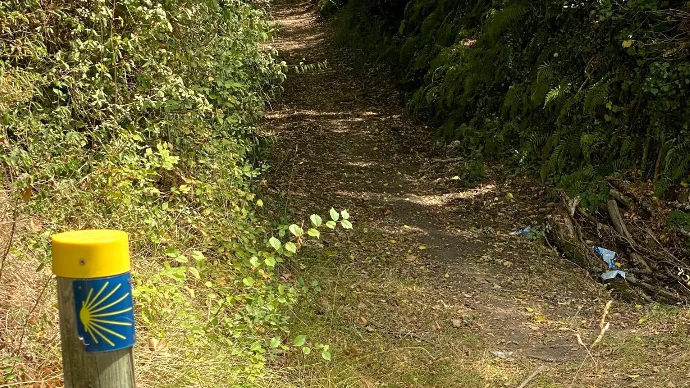 SOURZAC-Boucle de la patte de chien-Chemin-Poteau 2