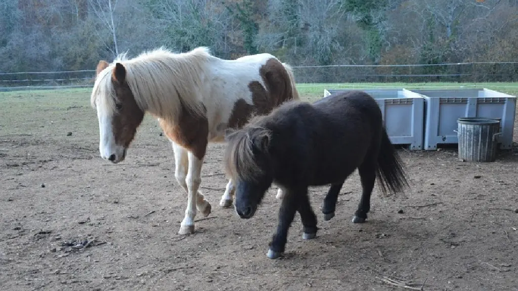 Ferme Equestre La Margotière