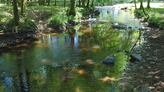 Saint Jory de Chalais  Sentier des demoiselles  (2)