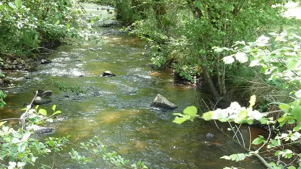 Saint Jory de Chalais Sentier des demoiselles (1)