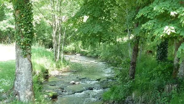 Saint Jory de Chalais Sentier des demoiselles (3)