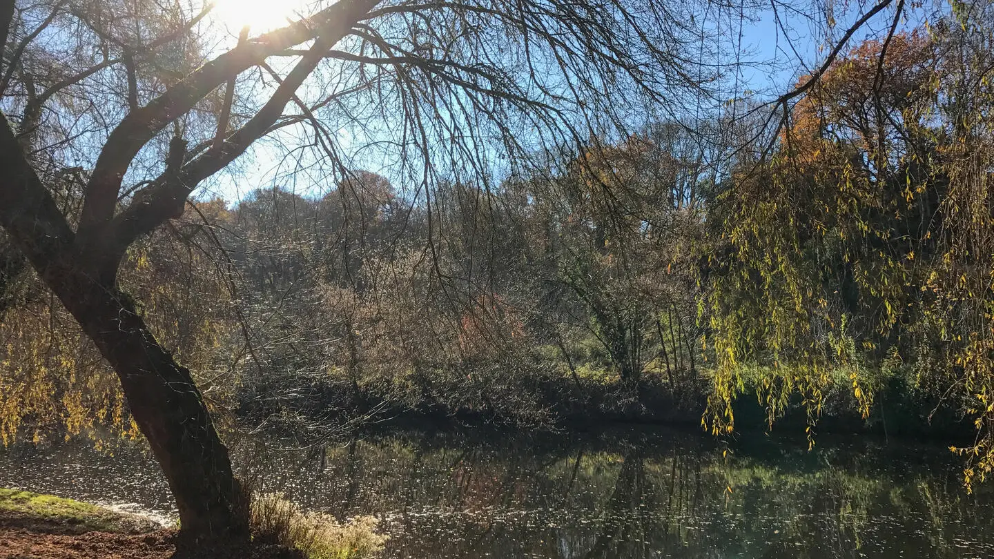 Saint Léon-bords de rivière 2