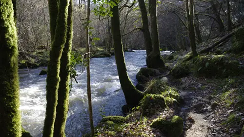 Saut-Chalard-hiver2