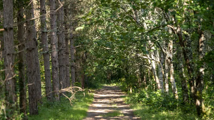 Sentier Botanique de la Roche-Chalais