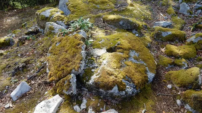 Sentier des meulières Saint-Crépin-de-Richemont_6