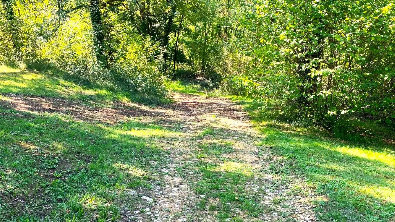 TAMNIES-Boucle du Pech Malat-Chemin 2