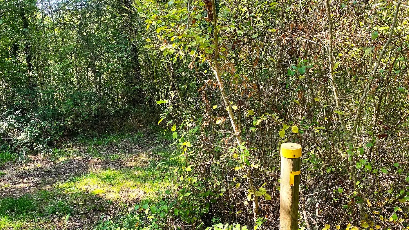 TAMNIES-Boucle du Pech Malat-Chemin-Poteau