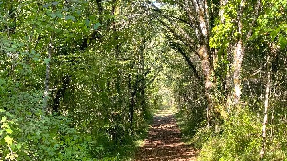 TAMNIES-Boucle du Pech Malat-Chemin